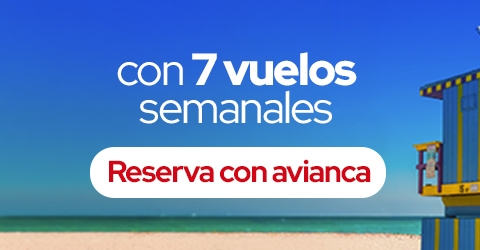 7 VUELOS NACIONALES