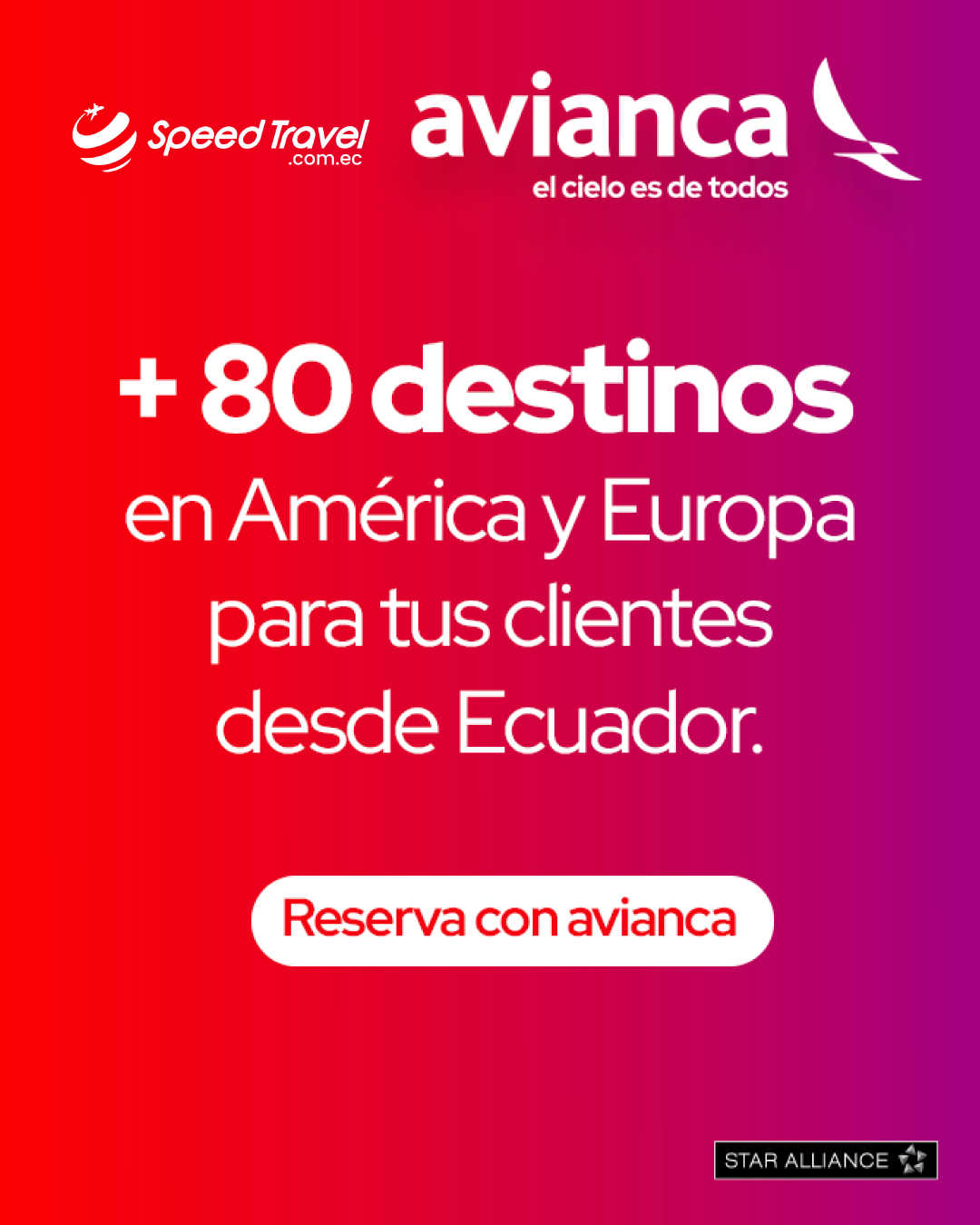 Speedtravel Bienvenida